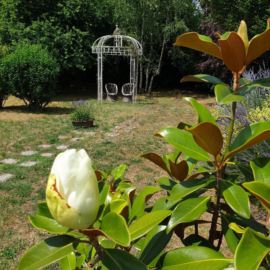 La Maison Des Thermes, Chambre D'Hote Saintes Exteriér fotografie